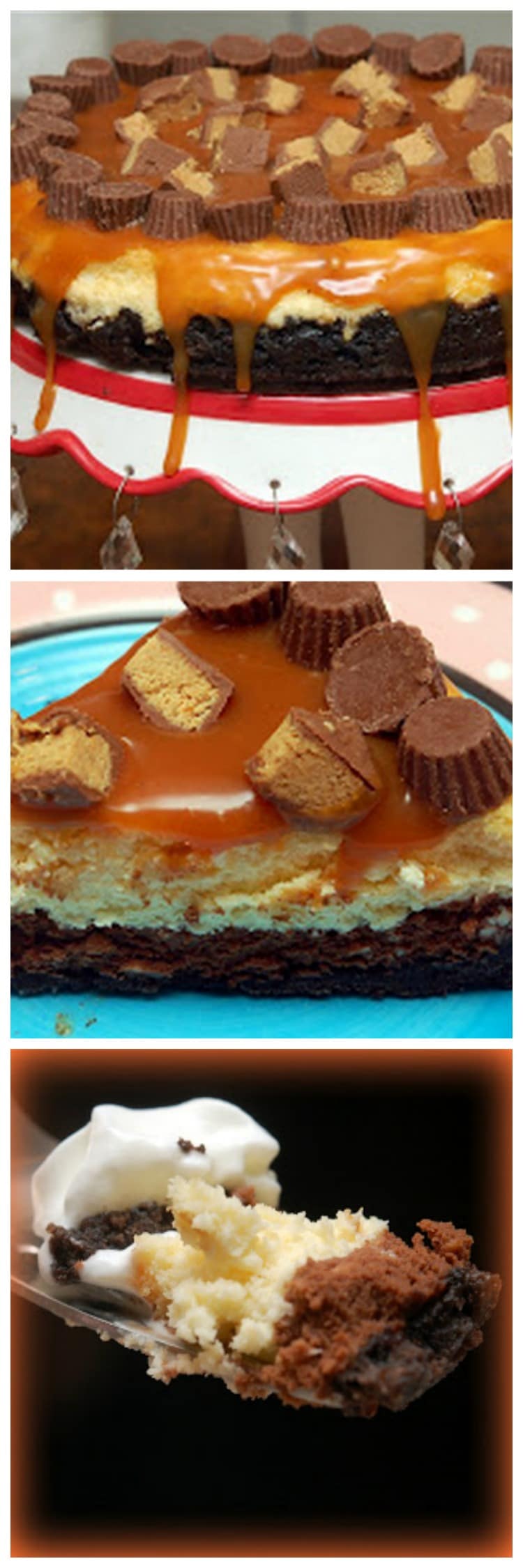 Caramel & Peanut Butter Chocolate Cheesecake