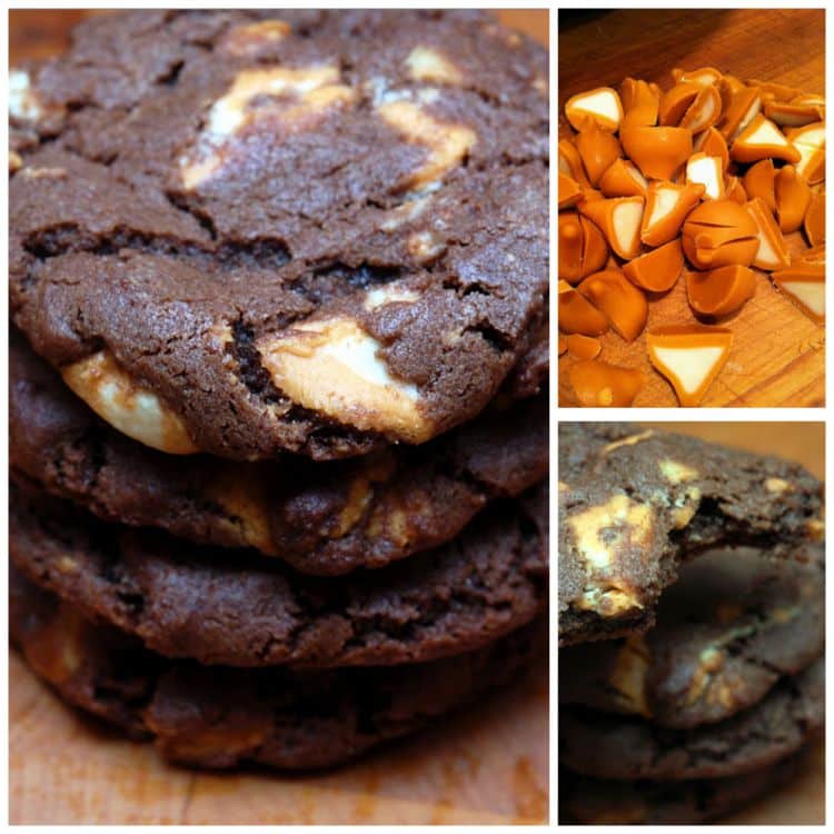 pumpkin chocolate cookies