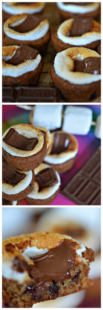 mini chocolate chip cookie smores