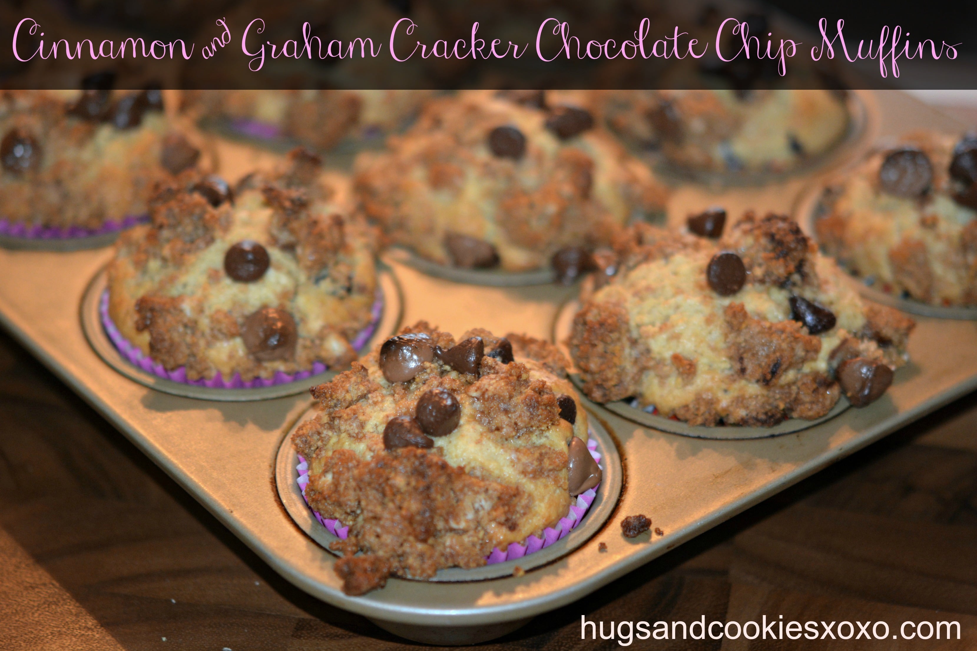 Cinnamon & Graham Cracker Chocolate Chip Muffins Hugs and Cookies XOXO