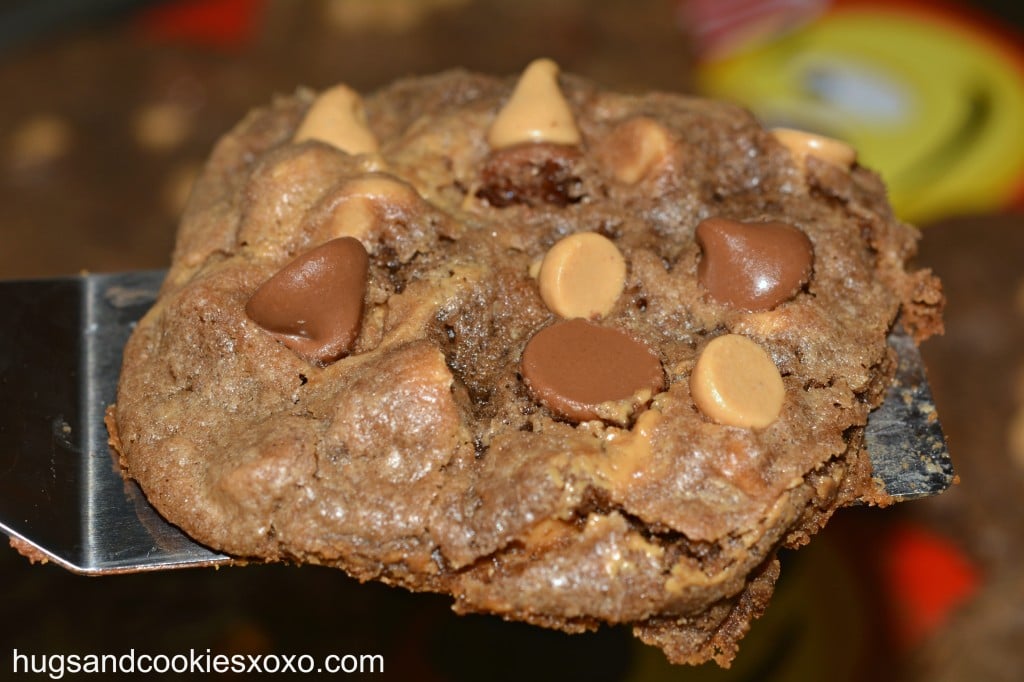 chocolate peanut butter cookies