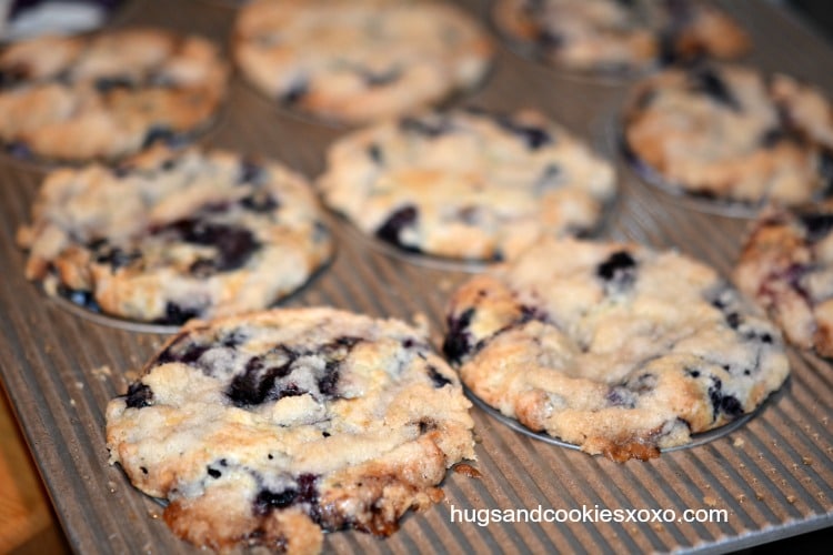 muffins-blueberry