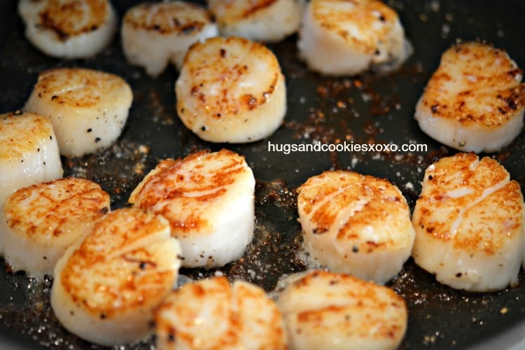 scallops