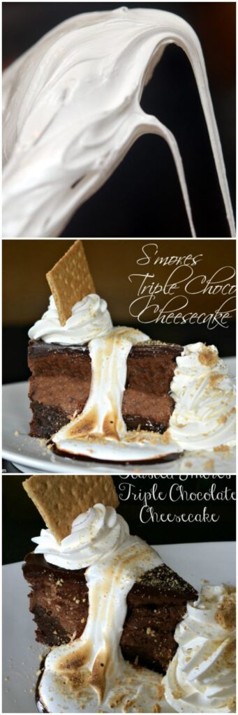 smores cheesecake