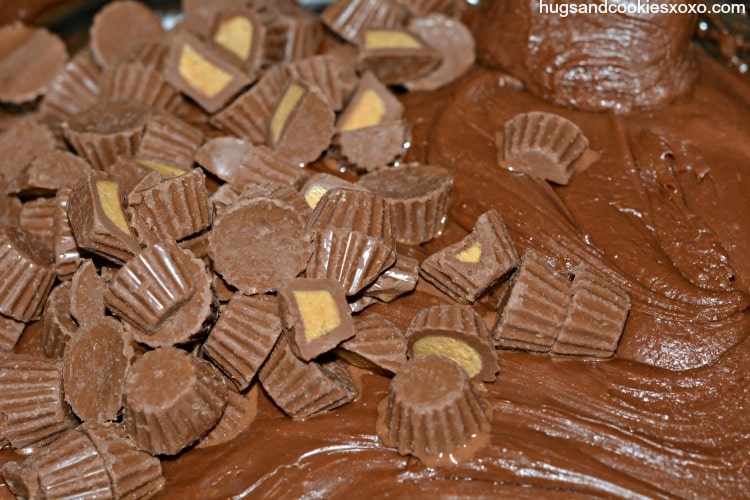 reeses fudge