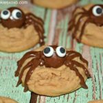 Spooky Spider Cookies