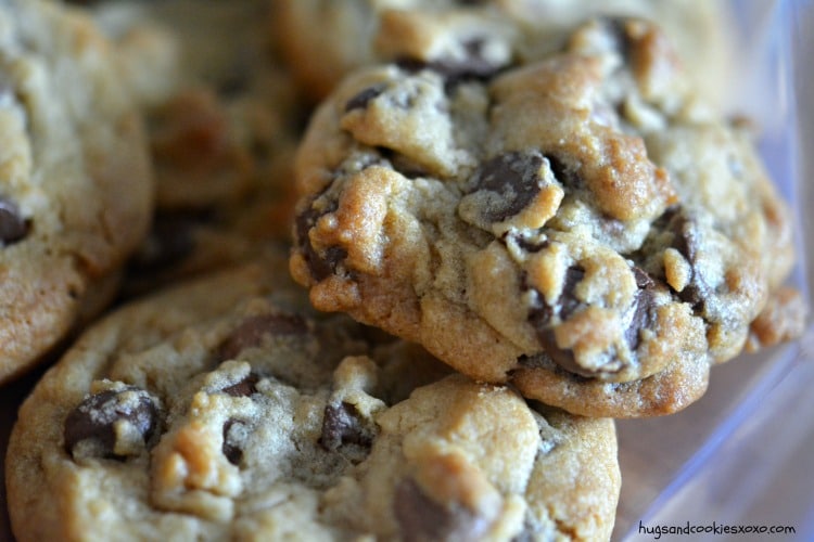 soft batch chocolate chip