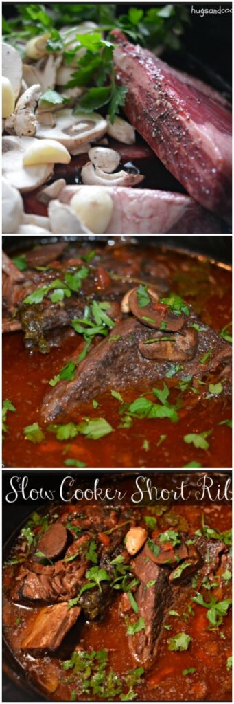 Slow Cooker Short Ribs Braised in Red Wine