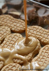 peanut butter cookie lasagna