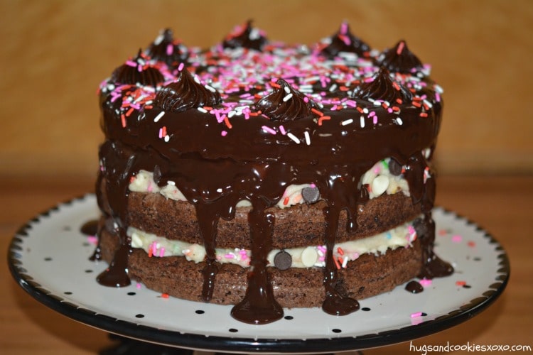 cake batter ganache sprinkled cake