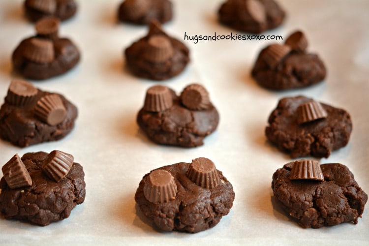 chocolate peanut butter cup cookies