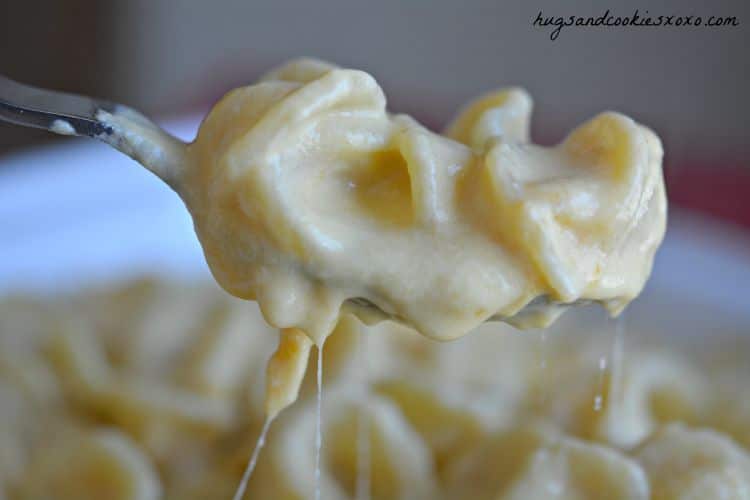 cheesy sauce pasta