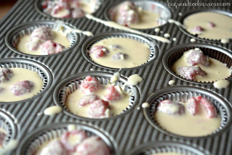 raspberry mini cheesecakes