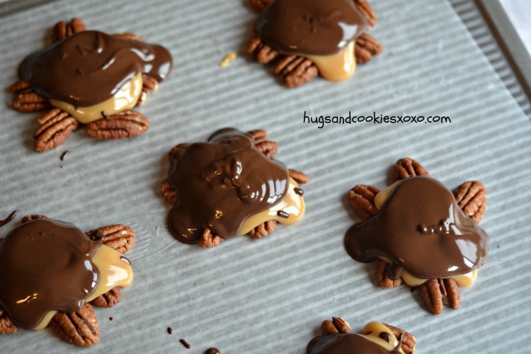 Pecan Turtle Clusters