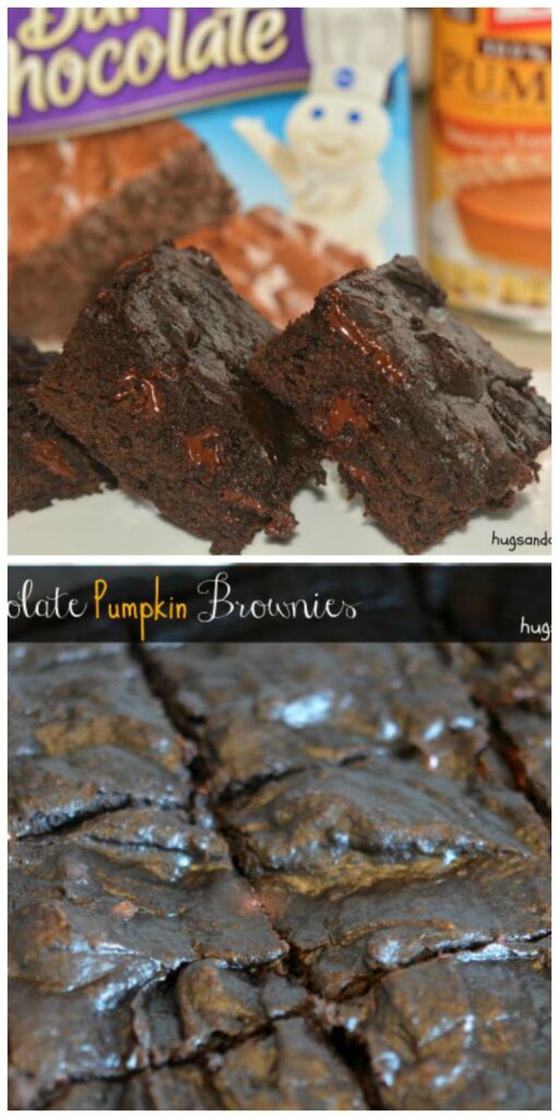 dark chocolate pumpkin brownies with chips