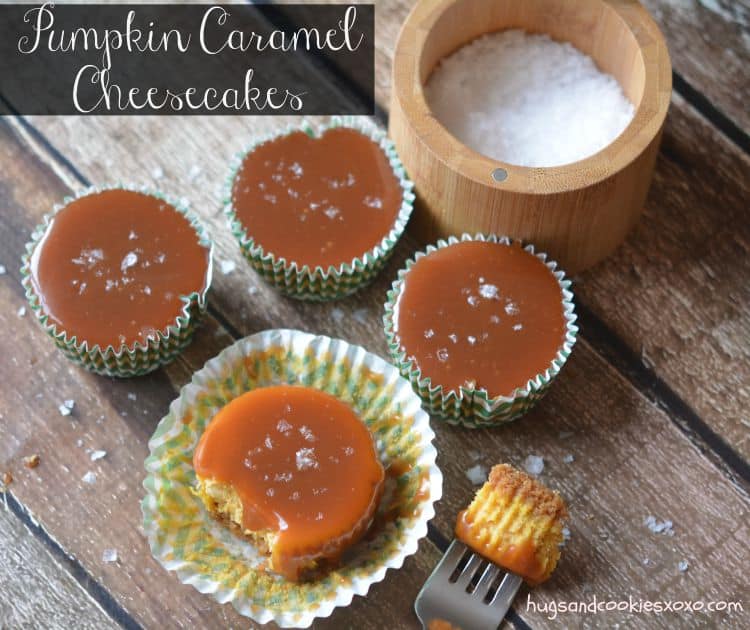 pumpkin caramel cheesecakes sea salted