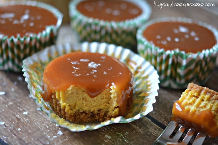 pumpkin caramel sea salt cheesecakes