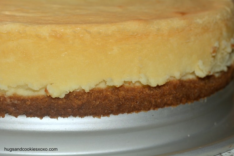 perfect cheesecake crust