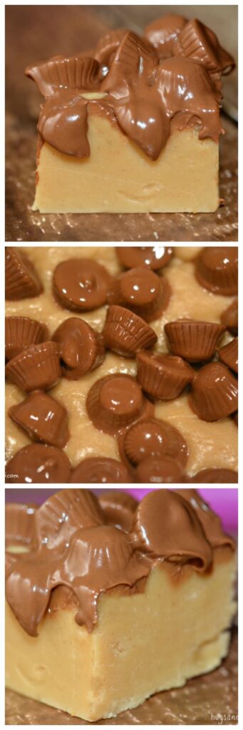 reeses fudge collage