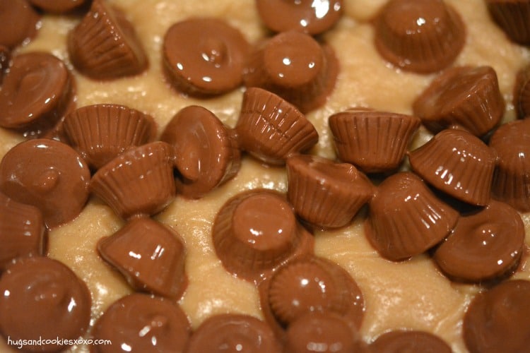 reeses peanut butter fudge