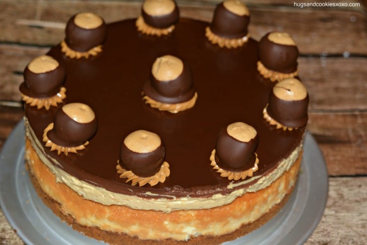 buckeye cheesecake with buckeye candies