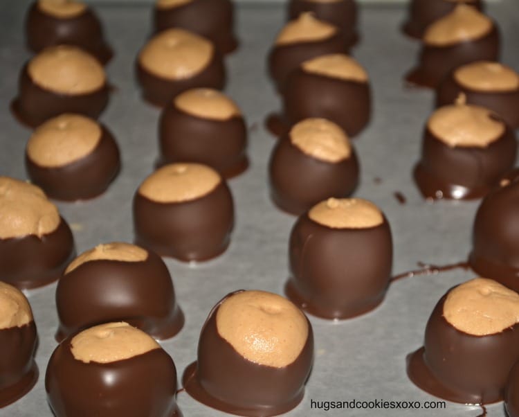 Buck Eye Truffle / Ohio Buckeye Candy Trail - Peanut butter cheesecake truffles are delicious ...