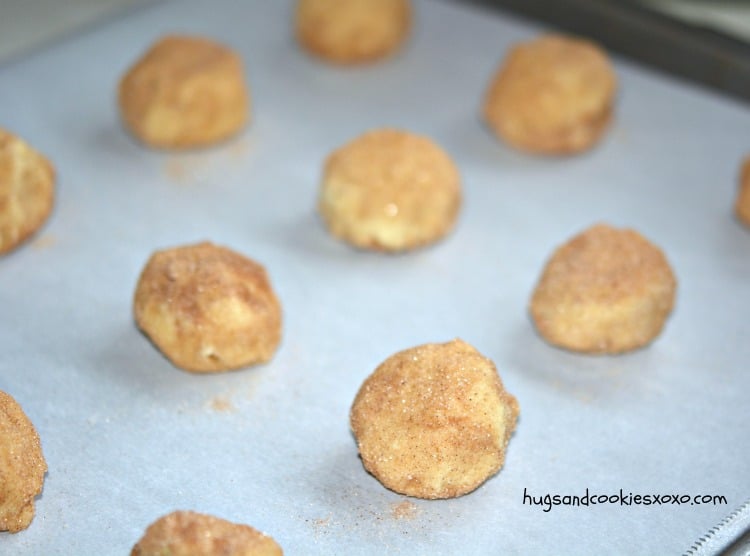 snickerdoodle cookie dough