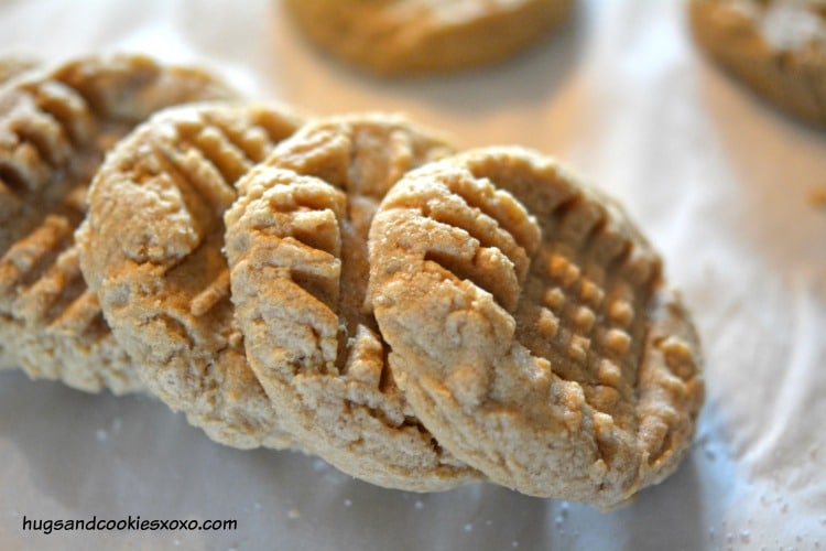 peanut butter cookie