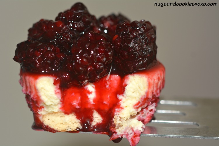 blackberry mini cheesecakes