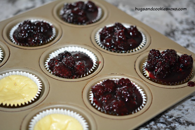 blackberry minis cheesecake