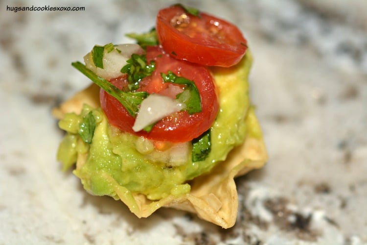 salsa fresca guacamole chips