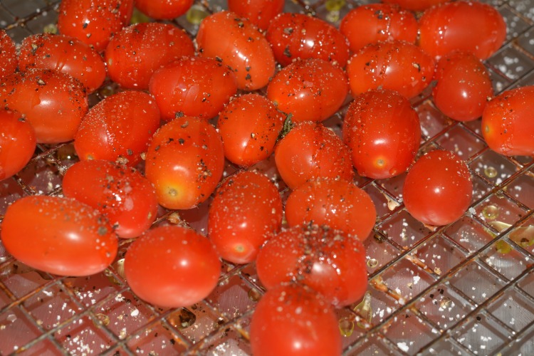 blt dip tomatoes