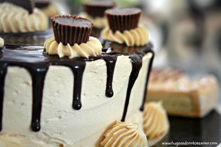 peanut butter frosting cheesecake