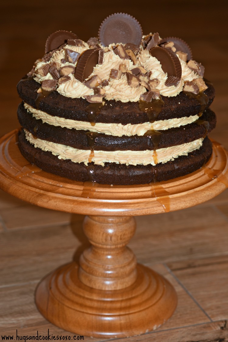 Peanut Butter Cup Cake - Spicy Southern Kitchen