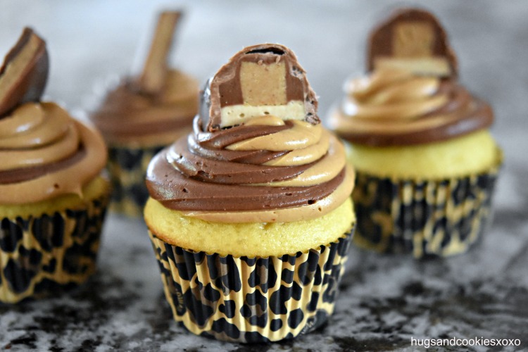 Chocolate Peanut Butter Frosted Cupcakes