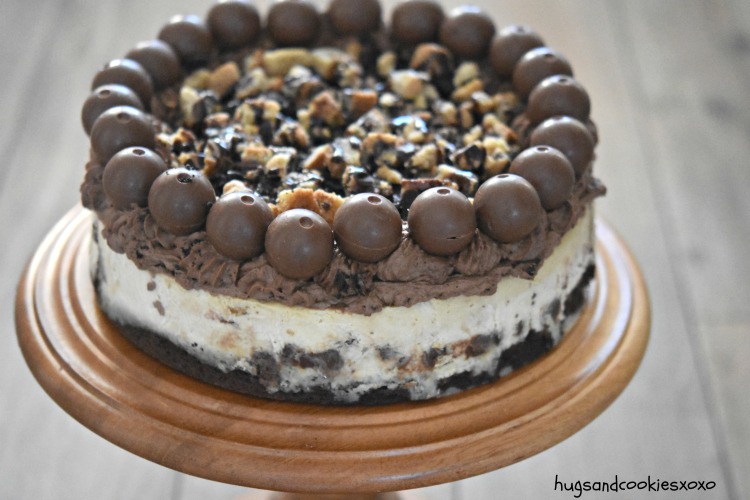 Brookie And Chocolate Ganache Ice Cream Cake by lifeloveandsugar