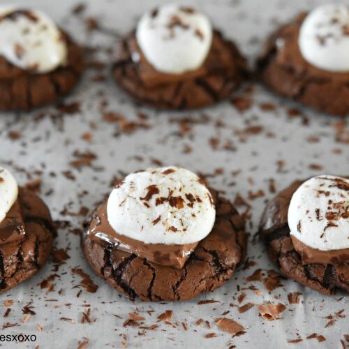 Hot Cocoa Cookies