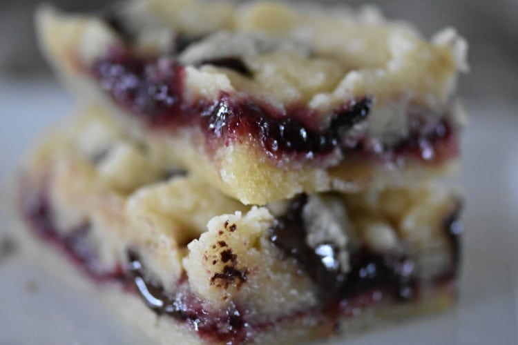 Raspberry Butter Bars with Dark Chocolate Chunks