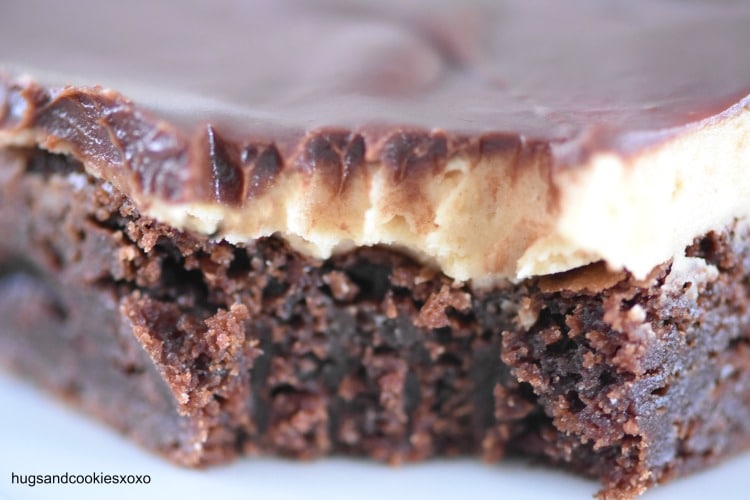 Chocolate Peanut Butter Brownies