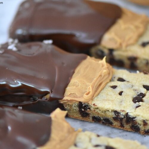 https://hugsandcookiesxoxo.com/wp-content/uploads/2019/07/chocolate-peanut-butter-cookie-sticks-500x500.jpg