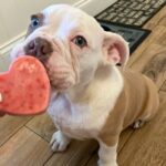 Strawberry Banana Dog Treats