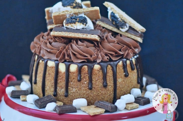 S'mores Campfire Cheesecake