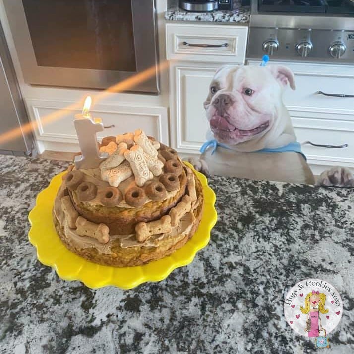 Birthday Cake for Dogs