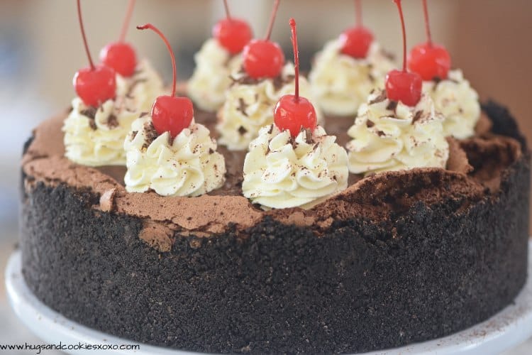 Mississippi Mud Pie Cake