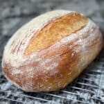 The Epiphany Chat Gpt Boule