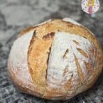 The Unfed Sourdough Loaf