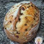 Mini Chocolate Chip Cranberry Sourdough